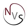 NVS Analytics logo