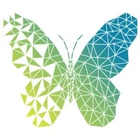 Transitials Services Pvt Ltd logo