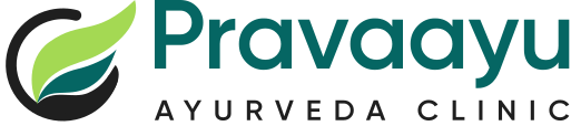 Pravaayu healthcare pvt limited logo