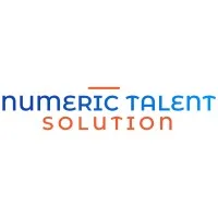 Numeric Talent Solutions