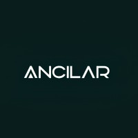 ANCILARTECH SERVICES PRIVATE LIMITED logo