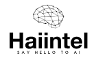 Haiintel logo