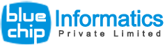 Blue Chip Computer Consultants