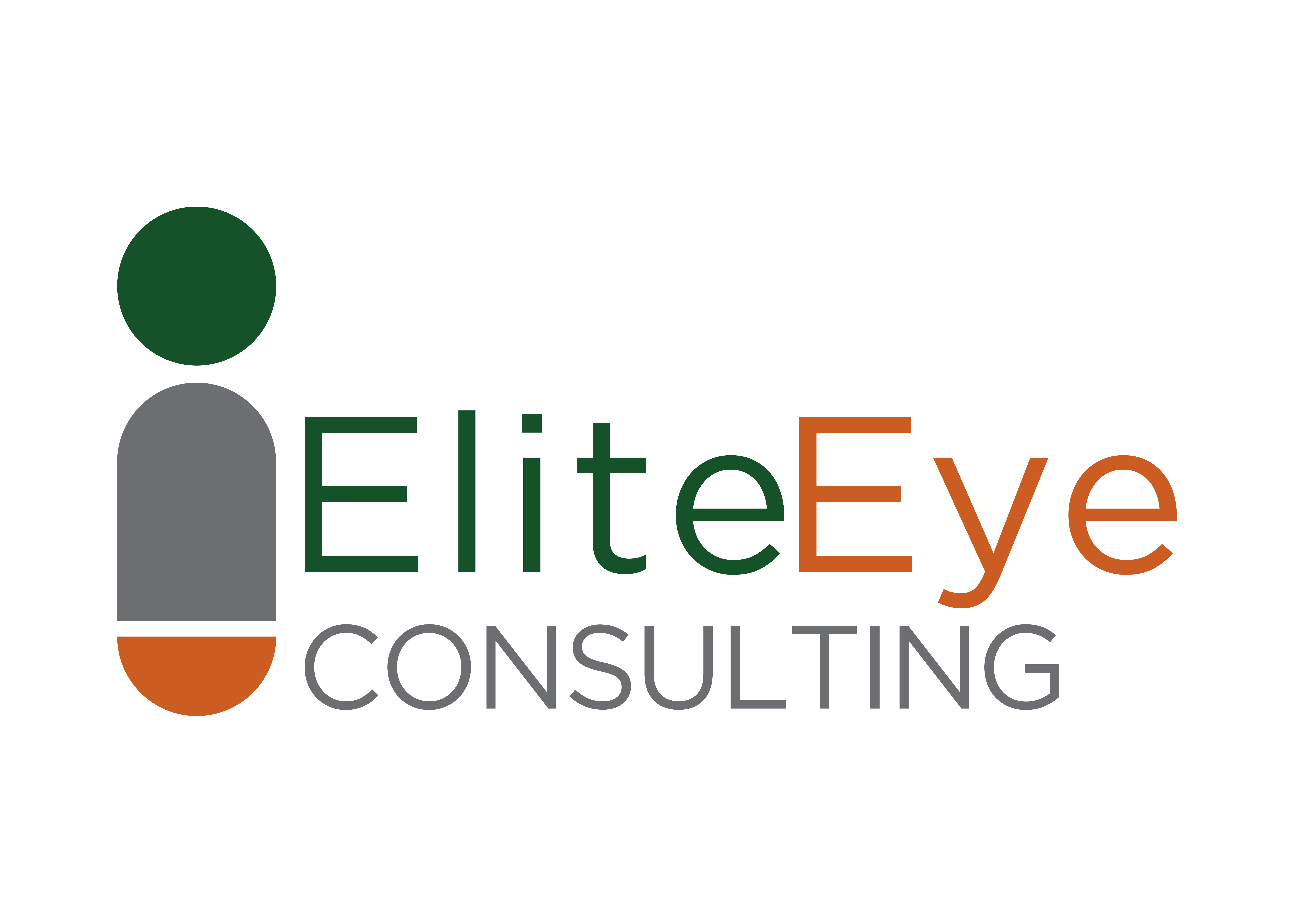 Eliteeye Consulting