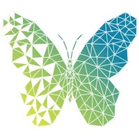Transitials Services Pvt Ltd