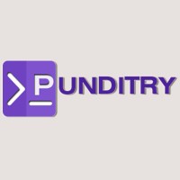 Punditry Tech Labs