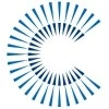 The Collective