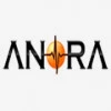 Anora semiconductor Labs.