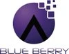 blue berry E-services pvt ltd