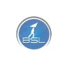 BSL Consulting LLC logo