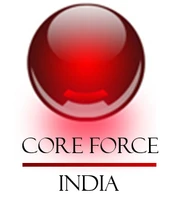 Envision Software Engineering