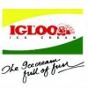 Igloo logo
