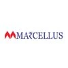 Marcellus Investment Managers