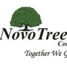 NovoTree Minds Consulting