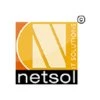 Netsol It Solutions