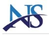 Nilasu Consulting Services