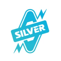 SILVER PUMPS & MOTORS