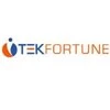 TekFortune