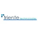 Triente Technologies